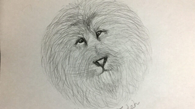 LionOfJudah_7-17-2018